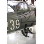 L39_det6.jpg