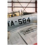T6_det2.jpg