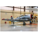 T6.jpg